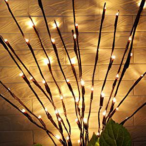 Lit Branch