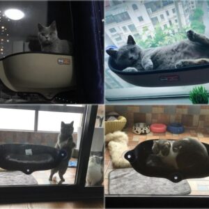 Kitty Daybed